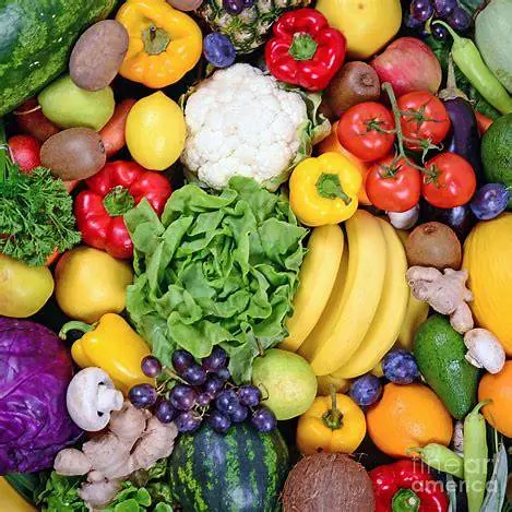 Fresh Vegetables